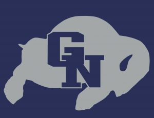 gnmfa logo